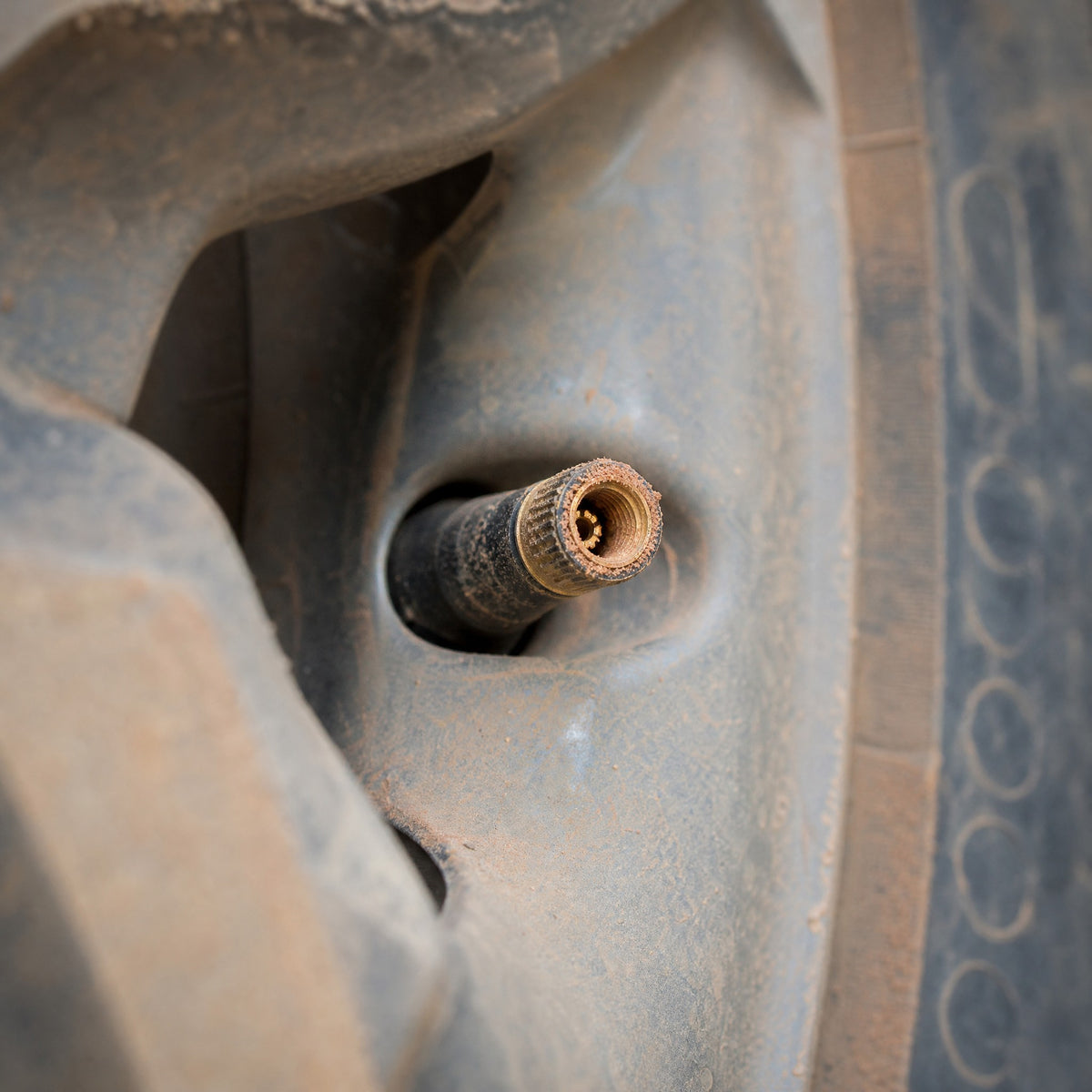 Bare tyre valve stem with no cap, its valve core packed with red dust